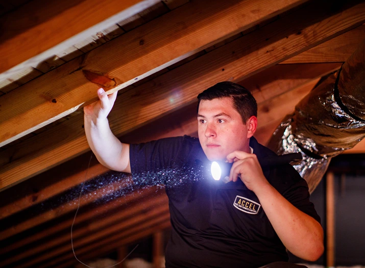 Accel Pest & Termite Control in Virginia Beach, VA